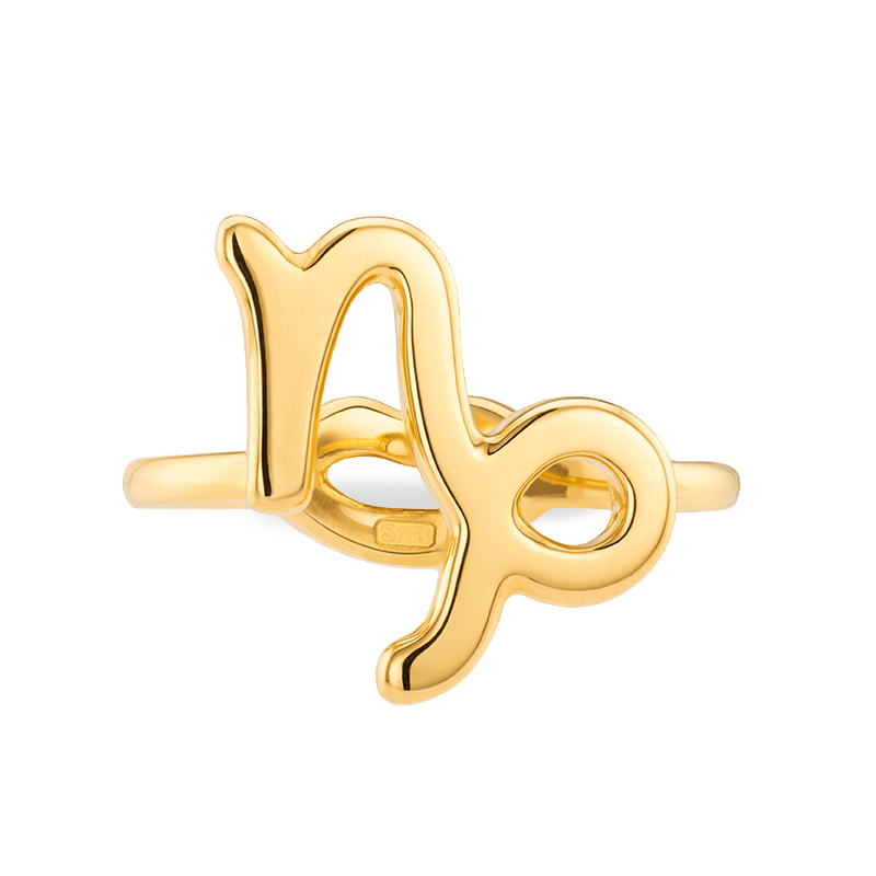 Capricorn Zodiac Hotglyph Ring in Gold Plated Silver Vermeil by Hotlips by Solange Front View