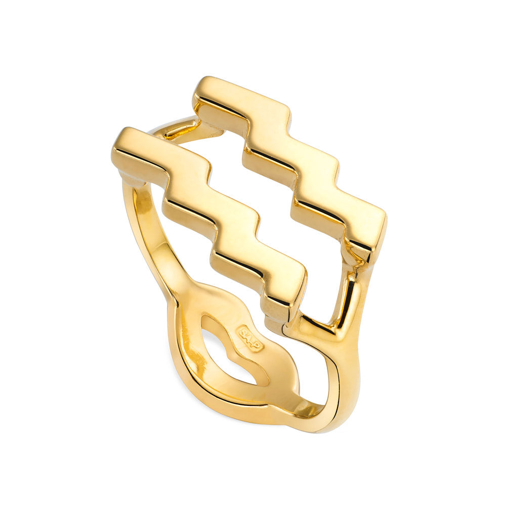Aquarius Hotglyph Ring in Gold Plated Silver Vermeil by Hotlips by Solange Angled View
