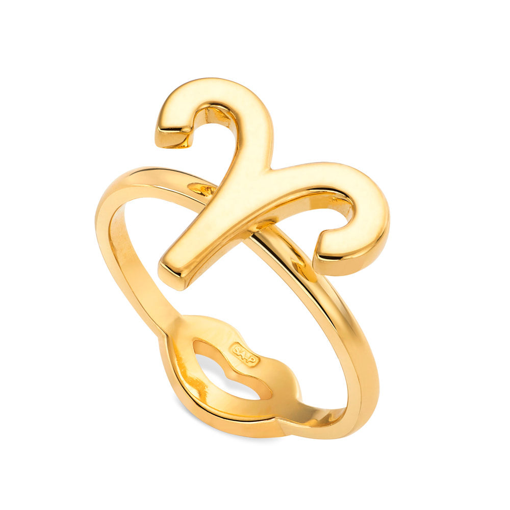 Aries Zodiac Hotglyph Ring in Gold Plated Silver Vermeil by Hotlips by Solange Angled View