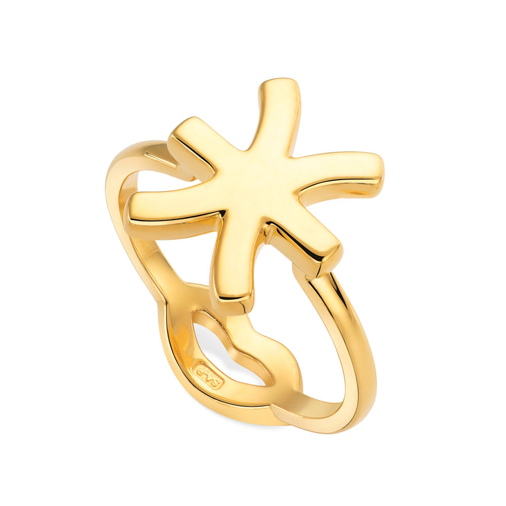 Pisces Zodiac Hotglyph Ring in Gold Plated Silver Vermeil by Hotlips by Solange Angled View
