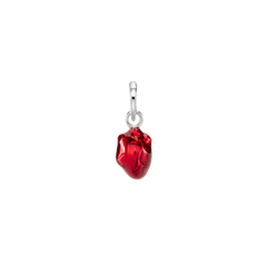 Anatomical Heart Charm