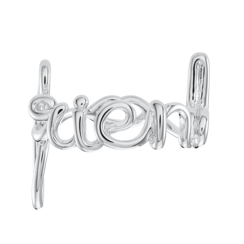 Friend Hotscript Silver