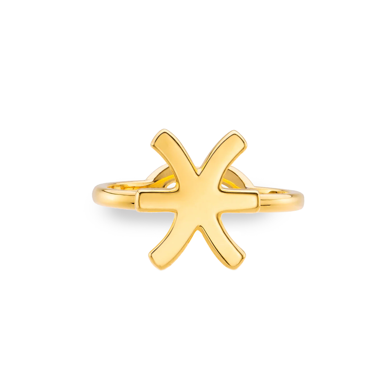 Pisces Zodiac Hotglyph Ring in Gold Plated Silver Vermeil by Hotlips by Solange Front View