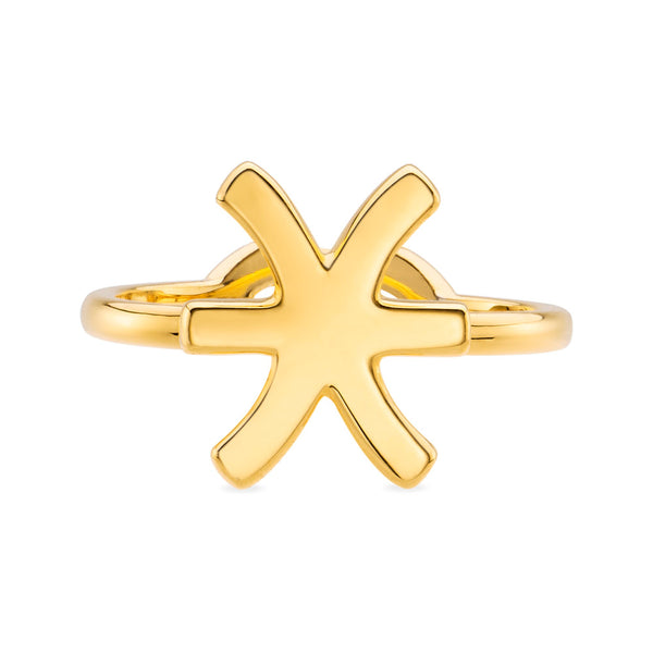 Pisces Zodiac Hotglyph Ring in Gold Plated Silver Vermeil by Hotlips by Solange Front View